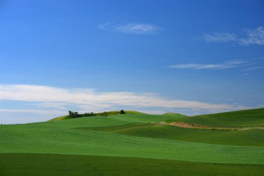 Manzarası çok güzel. Doğa manzarası 