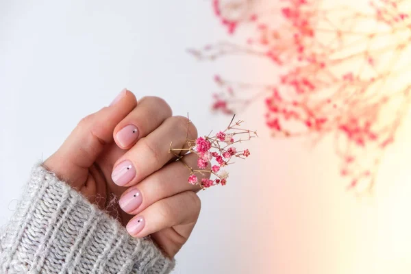 Kvinnliga Händer Med Vacker Naken Manikyr Med Ömtåliga Rosa Gypsophila — Stockfoto