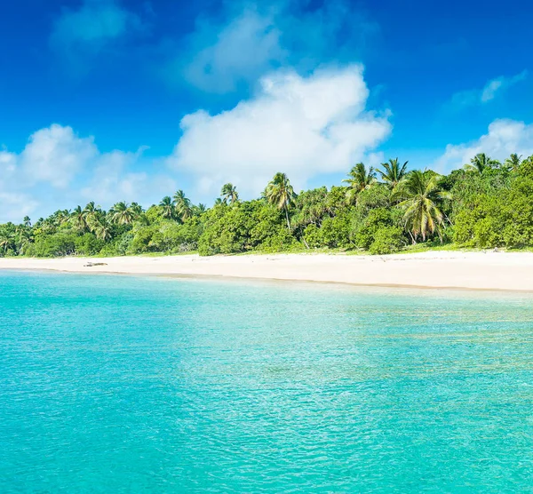 Vakre Tropiske Strand Med Palmer Blå Himmel – stockfoto