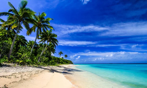 Όμορφη Τροπική Παραλία Φοίνικες Και Γαλάζιο Ουρανό — Φωτογραφία Αρχείου