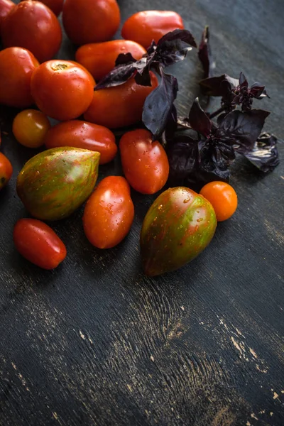 Close Shot Fresh Organic Tomatoes Basil Tabletop Background — Foto Stock