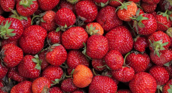 Nahaufnahme Köstlicher Erdbeeren Als Hintergrund — Stockfoto