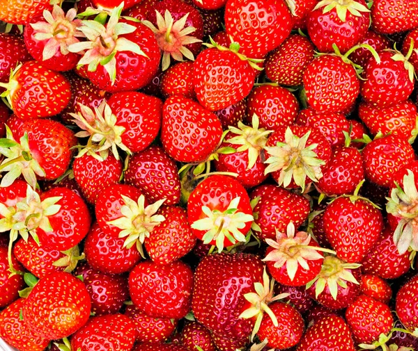 Close Fotografii Căpșuni Delicioase Pentru Fundal — Fotografie, imagine de stoc