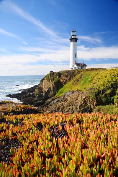 Pigeon Point Lighthouse Cliff California Usa — Stock fotografie