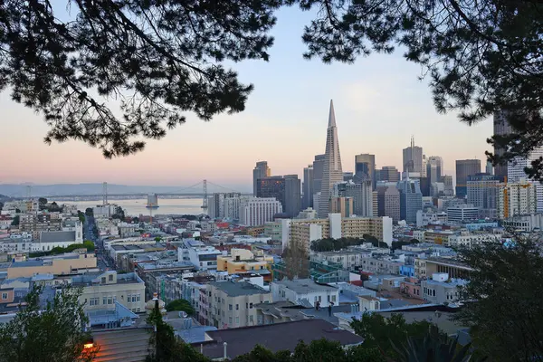 San Francisco Cityscape Stany Zjednoczone — Zdjęcie stockowe