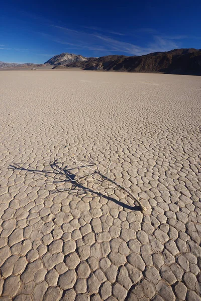 Desert Death Valley National Park — Stock Photo, Image