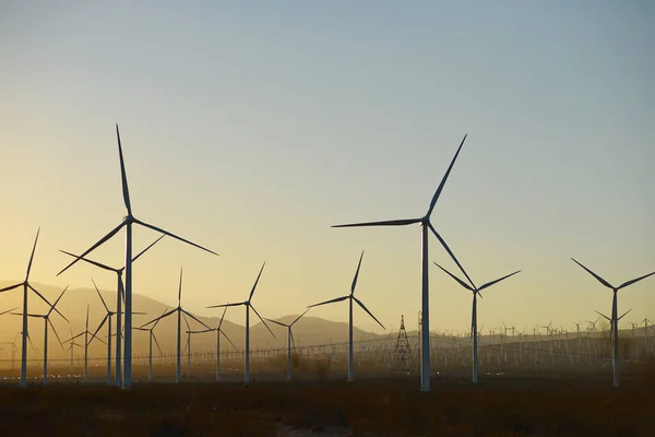Wind Farm Sunset — Stock Photo, Image