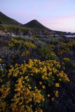 Güzel Kaliforniya sahilinin manzaralı çekimi, ABD