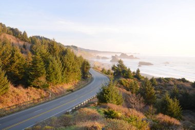 Oregon kıyı otoyolu arka plan görüntüsü