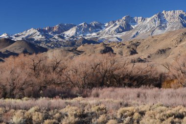  Sierra Nevada dağlarında manzara 