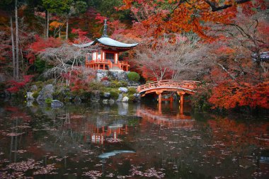 Kyoto 'daki tapınak manzarası