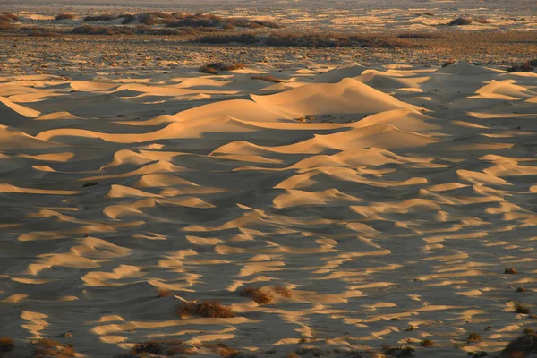 Αμμόλοφοι Τοπίο Την Ηλιόλουστη Μέρα — Φωτογραφία Αρχείου