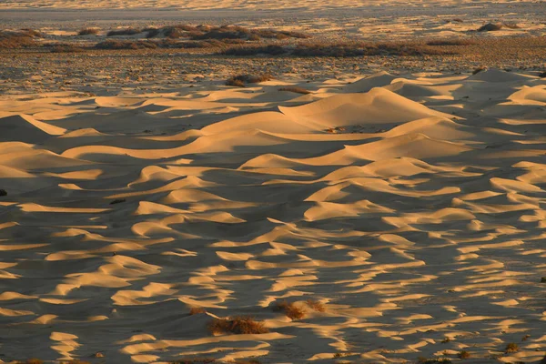 Dune Sabbia Paesaggio Nella Giornata Sole — Foto Stock