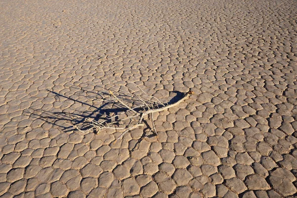 乾燥した割れた湖の底の眺め — ストック写真