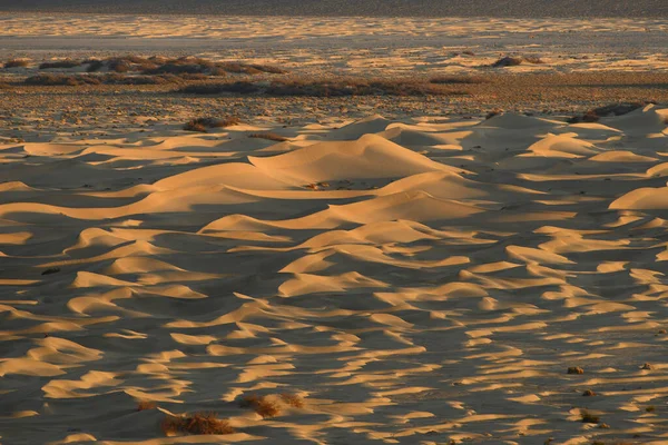 Пейзаж Песчаных Дюн Солнечный День — стоковое фото