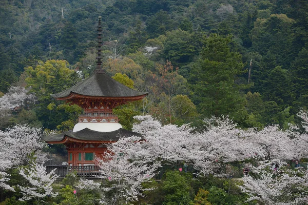 Αρχαία Ιαπωνική Αρχιτεκτονική Sakura Beauty Στη Χιροσίμα Ανθισμένα Άνθη Την — Φωτογραφία Αρχείου