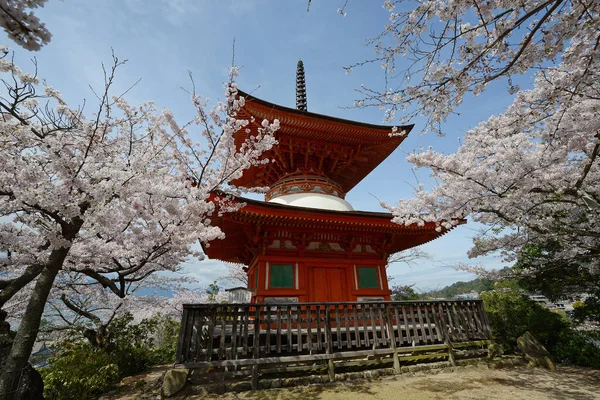 Ancient Japanese Architecture Sakura Beauty Hiroshima Blossom Flowers Springtime — Stock Photo, Image