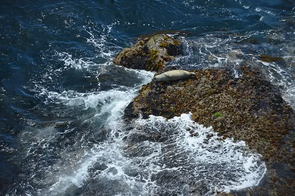 아름다운 캘리포니아 해안의 경치를 — 스톡 사진