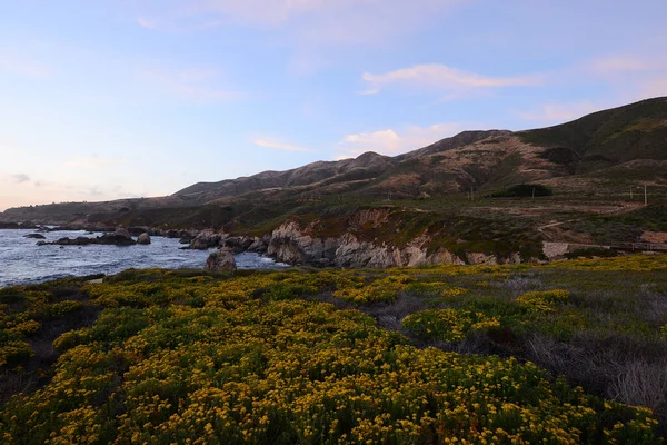Malownicze Ujęcie Pięknego Wybrzeża Kalifornii Usa — Zdjęcie stockowe