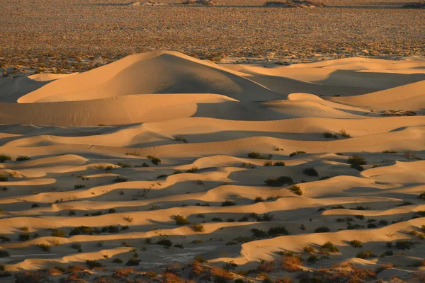 Güneşli Bir Günde Kum Tepeleri Manzarası — Stok fotoğraf