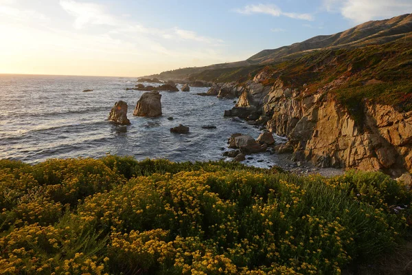 Scatto Panoramico Della Bellissima Costa Californiana Usa — Foto Stock