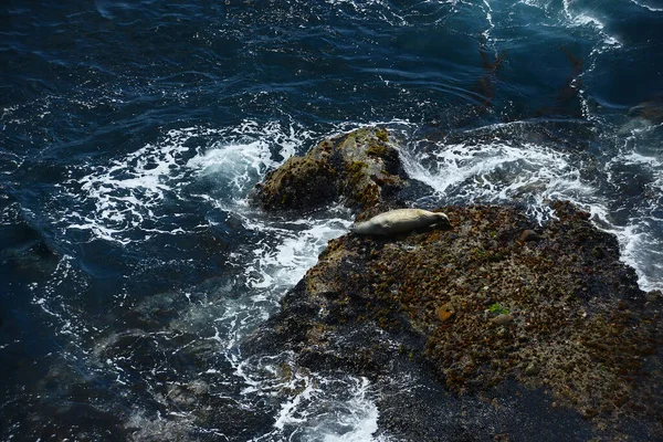 아름다운 캘리포니아 해안의 경치를 — 스톡 사진