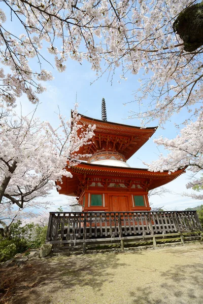 Architecture Japonaise Ancienne Sakura Beauty Hiroshima Fleurs Fleurs Printemps — Photo