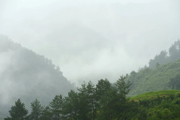 Вьетнам Пейзаж Утреннем Тумане — стоковое фото