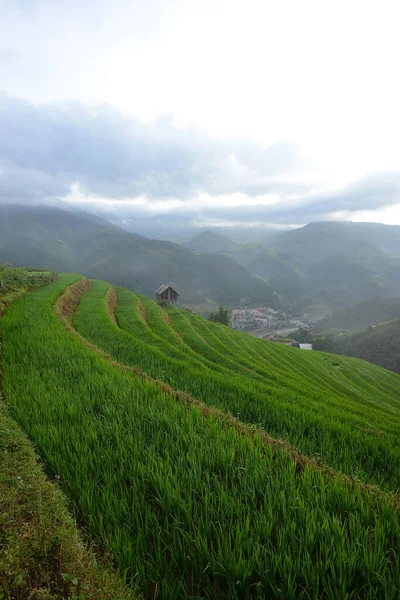 Scenic View Rice Terrace Vietnam — Stock Photo, Image