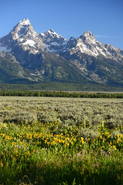 Wielki Teton Górski Krajobraz — Zdjęcie stockowe