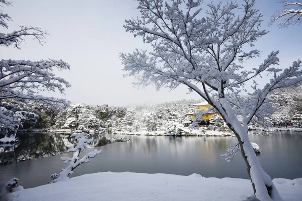 Kinkakuji Snow Temple Golden Pavilion — Stock Photo, Image