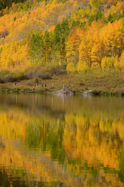 Осенний Пейзаж Отражением Реке Аспен Колорадо Сша — стоковое фото