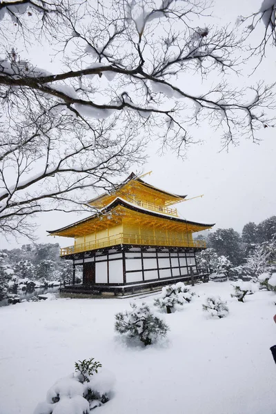 Kinkakuji Snö Gyllene Paviljongens Tempel — Stockfoto