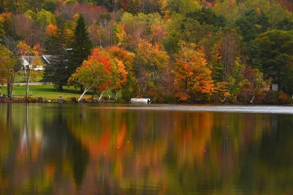 Яркая Осенняя Листва Вермонте Сша — стоковое фото