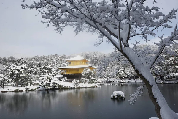 Kinkakuji Sněhu Chrám Zlatého Pavilonu — Stock fotografie