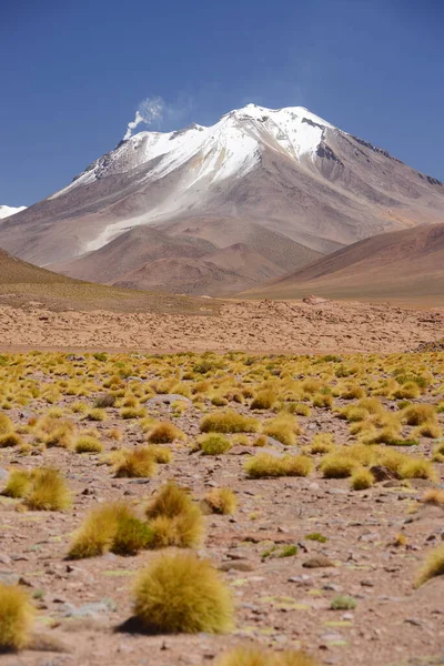 Vista Panorâmica Das Montanhas Bolívia — Fotografia de Stock