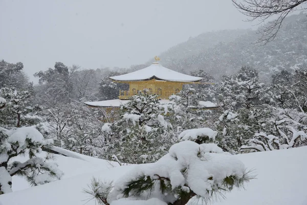 Kinkakuji Schnee Tempel Des Goldenen Pavillons — Stockfoto