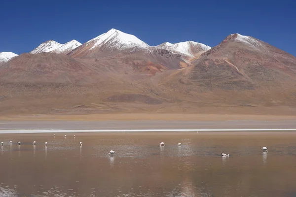 Landschappelijk Uitzicht Bolivia Bergen — Stockfoto