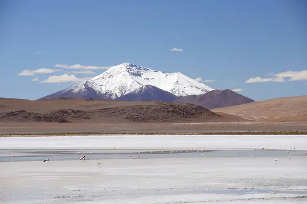 Vista Panorâmica Das Montanhas Bolívia — Fotografia de Stock