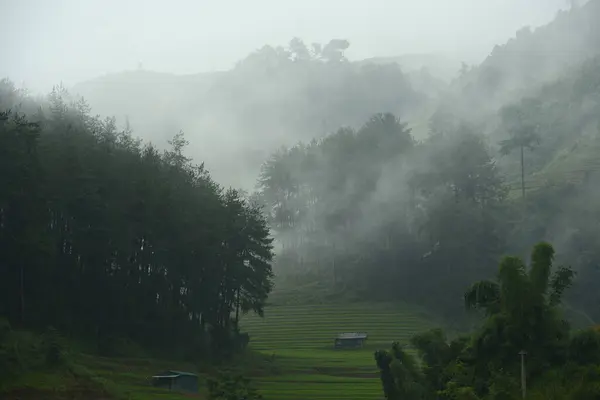 ベトナムの朝霧 閉じる — ストック写真