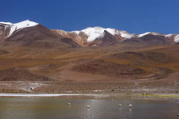 Vista Panorámica Las Montañas Bolivia — Foto de Stock
