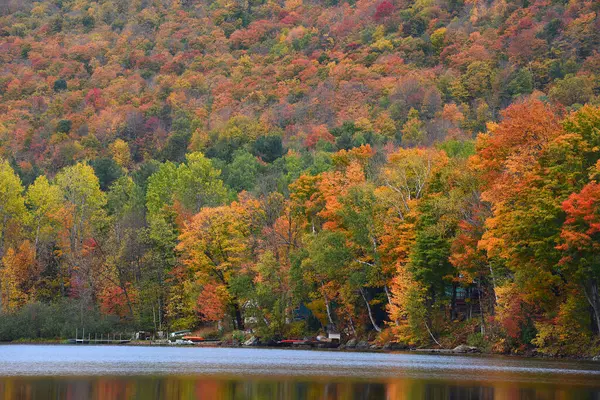 Сценарий Цветного Леса Осенью Вермонт Сша — стоковое фото