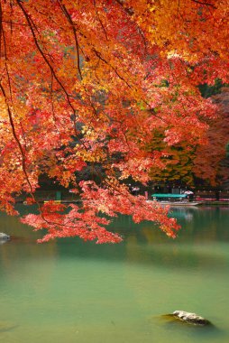 Arashiyama nehri ve sonbahar ağaçları manzarası