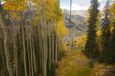 Aspen ağaçlarının sonbahar rengi, Colorado, ABD