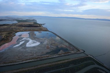 Oakland bataklığı manzarası
