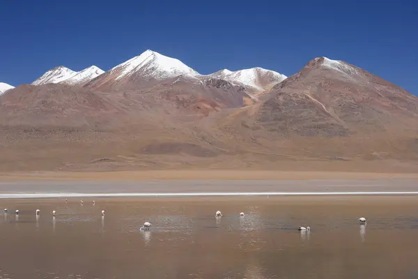 Scenic View Bolivia Mountains — Stock Photo, Image