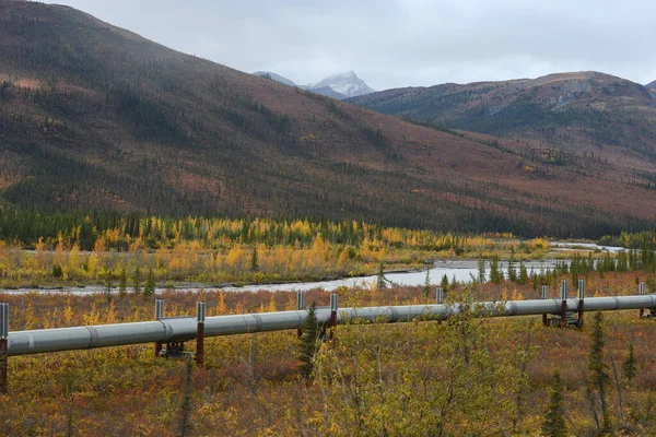 Aalaskan Csővezeték Hegyeken Keresztül Usa — Stock Fotó