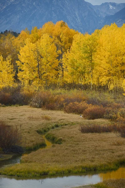 Park Narodowy Grand Teton Jesienią — Zdjęcie stockowe