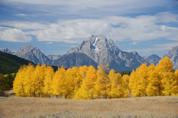 Yellowstone Herbstzeit Berge Und Bäume — Stockfoto