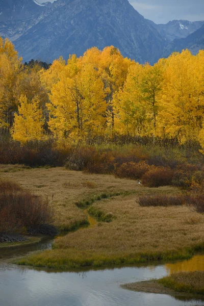 Park Narodowy Grand Teton Jesienią — Zdjęcie stockowe